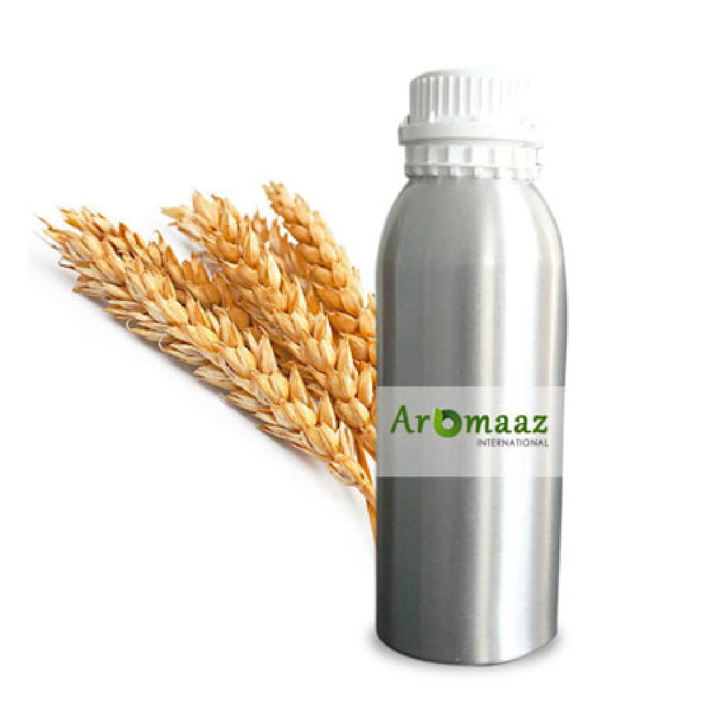 Cold Pressed Wheat Germ Carrier Oil, For Food, Packaging Size: 1 To 180 Litres