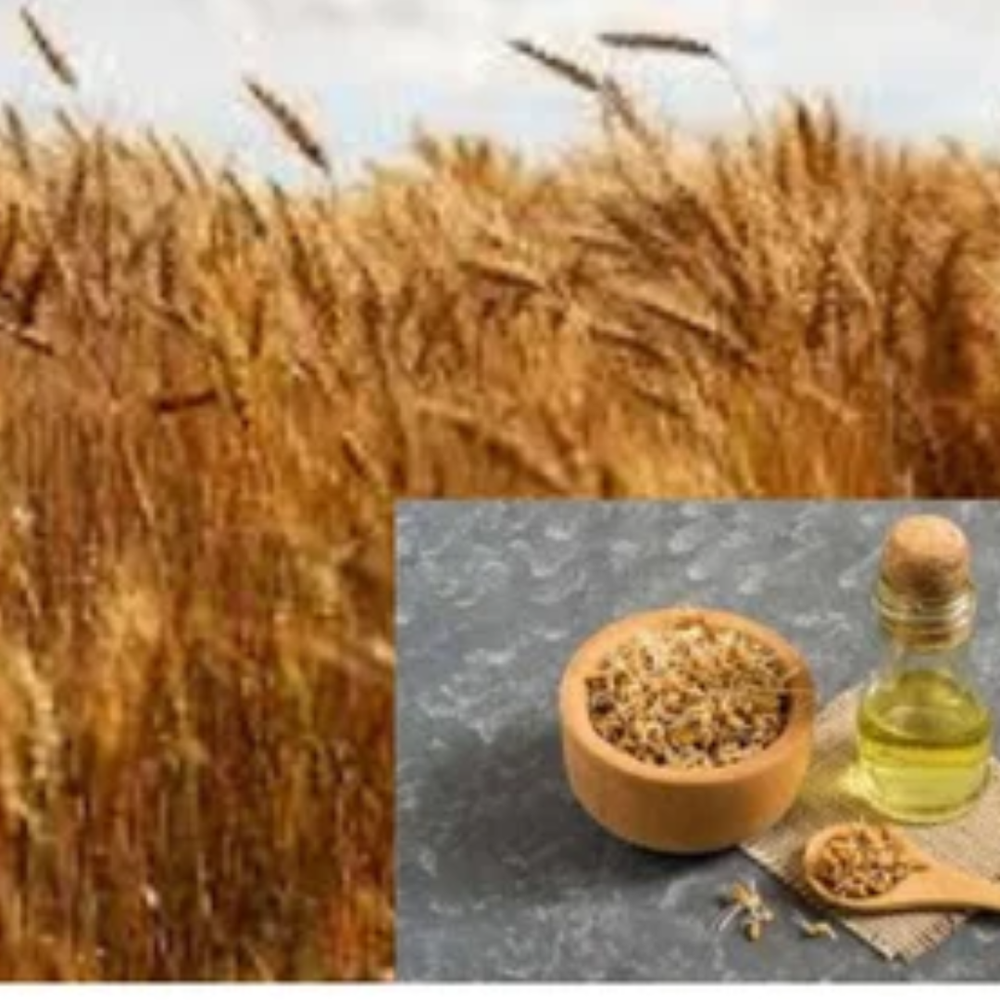 Wheat Germ Oil