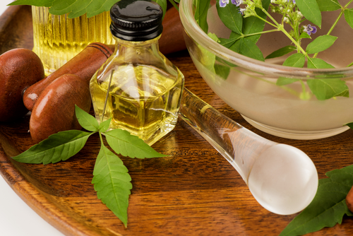 Liquid Vitex Negundo Nirgundi Oil, For Pharma, Packaging Size: 10 Ml
