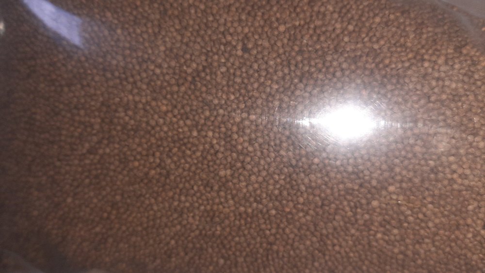 white to grey Cold Pressed Perilla seeds