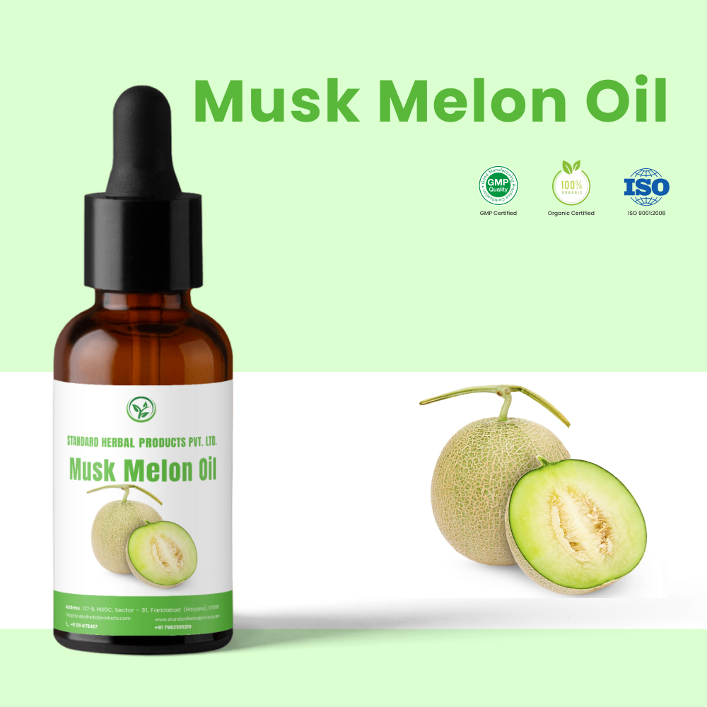 Musk Melon Seed Oil, Seeds, Packaging Size: 25 kg