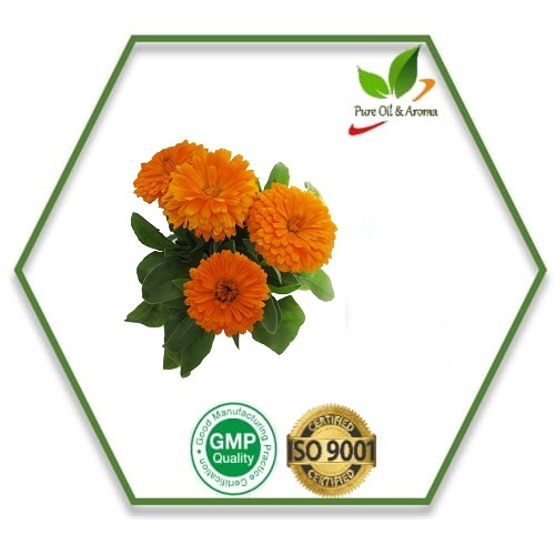 Skin Care Seeds Calendula (Infused) Oil