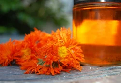 Calendula Oil, Packaging Size: 1 Kg -35 Kg