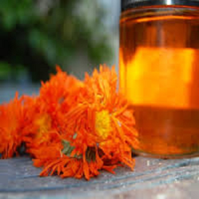 Calendula Oil (Calendula Officinalis)