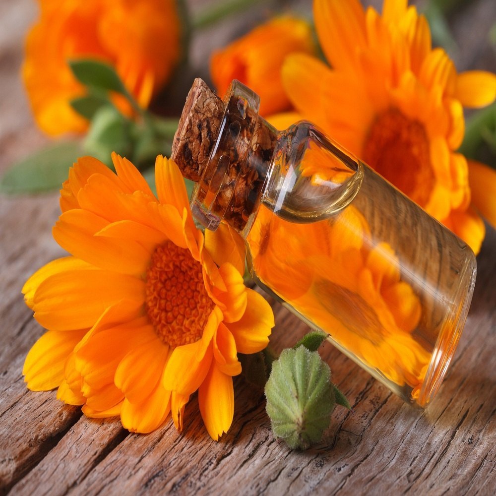 AMAR NATH Organic Calendula Oil