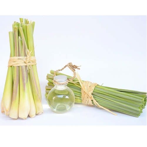 99% Lemongrass Oil, For Medicinal
