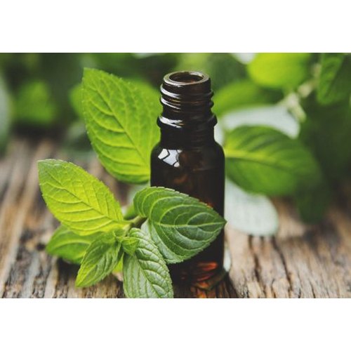 Peppermint Essential Oil