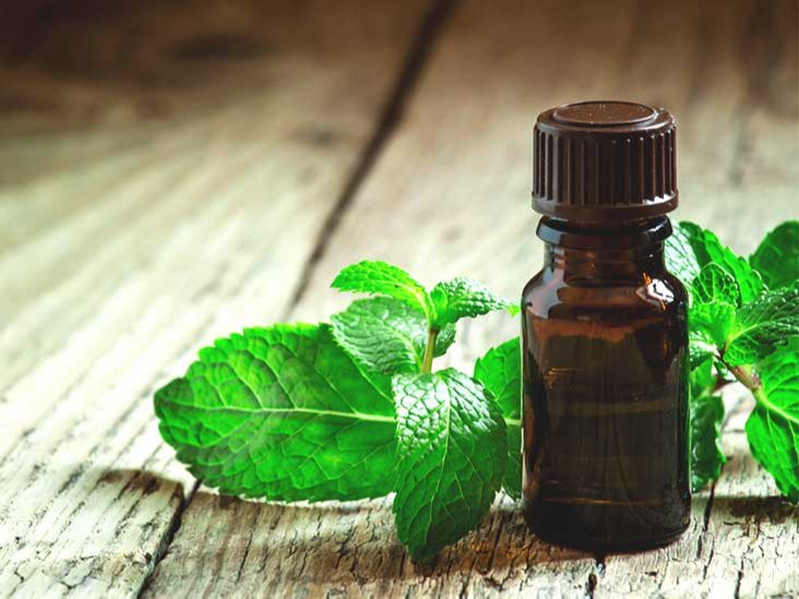 Steam Distillation Mentha x piperita Peppermint Oil, For Multi Purpose
