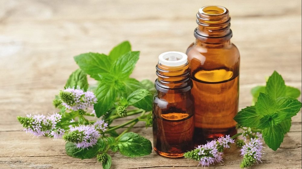 Peppermint Essential Oil