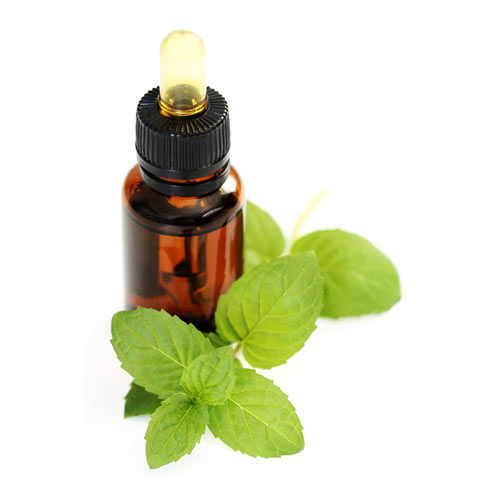 Peppermint Oil Bp-ep