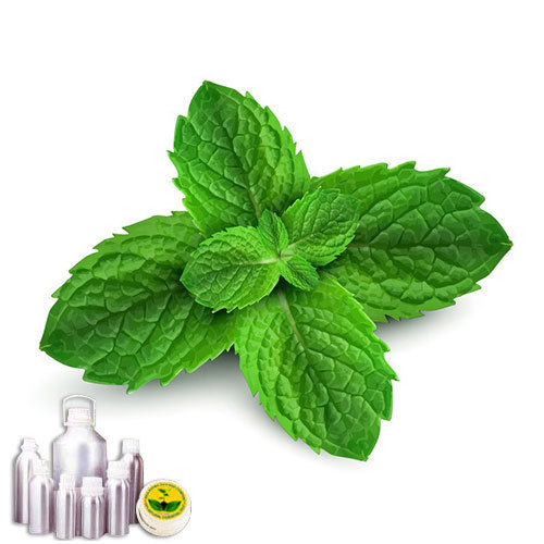 Natural Peppermint Oil Rectified, 100 ml