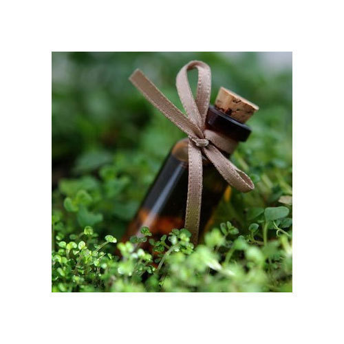 Peppermint Essential Oil