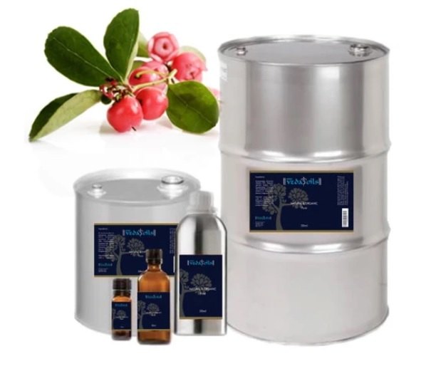 Liquid Gaultheria Oil, Packaging Type: Bottle