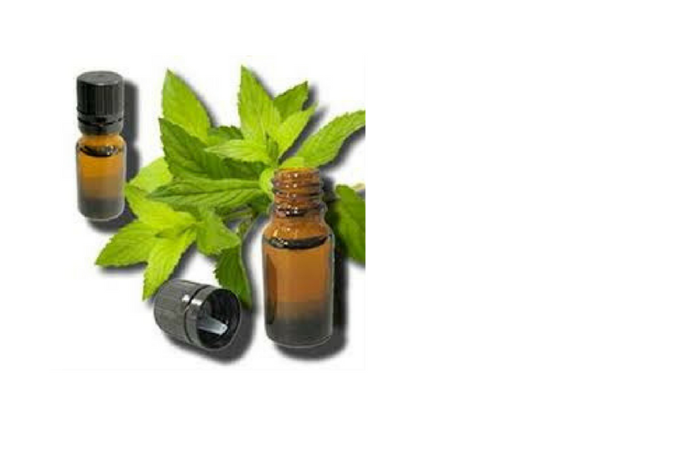 Gandhpura Oil