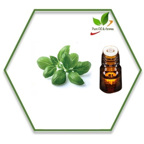 Basil Essential Oil, Packaging Type: Bottle