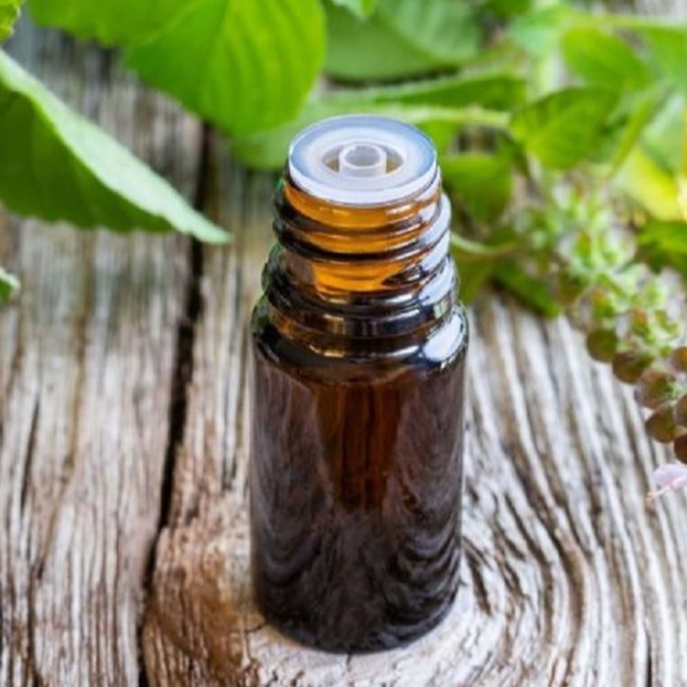 Tulsi Leaf Oil, 1 Kg