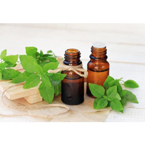Tulsi Essential Oil, Packaging Size: 30 Kg