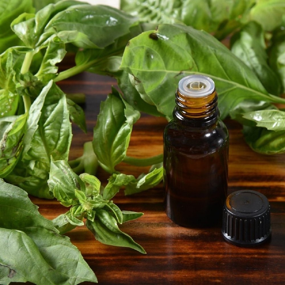 Tulsi Essential Oil