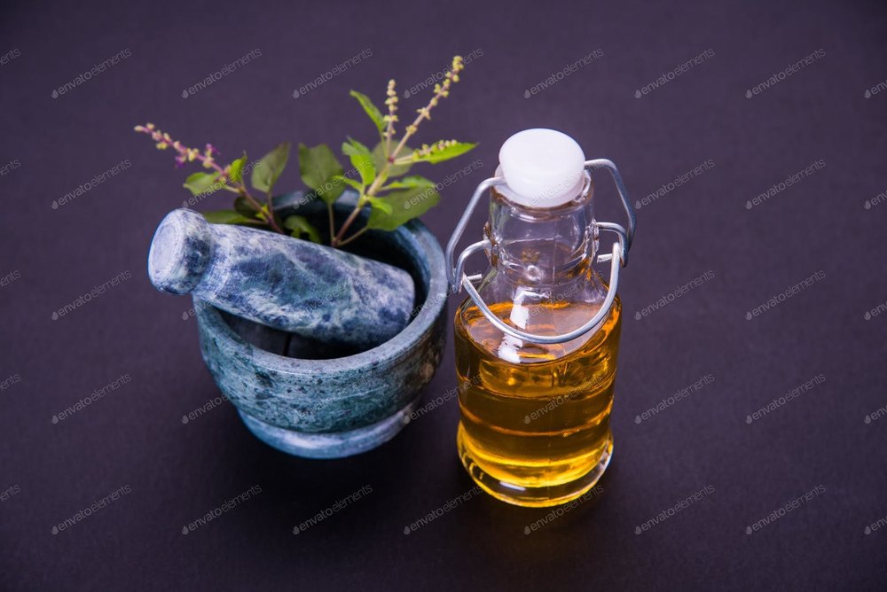Ocimum tenuiflorum Tulsi Oil, Packaging Size: 25 Kg