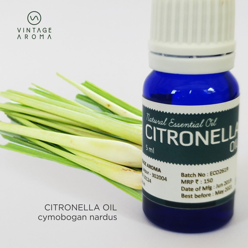 Citronella Oil