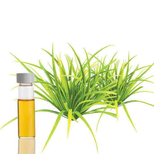 Citronella Oil