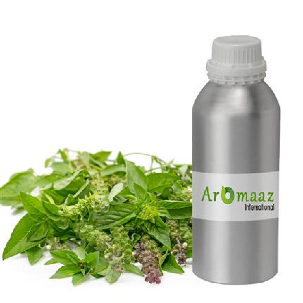 Ocimum Sanctum Natural Holy Basil Essential Oil (Tulsi)