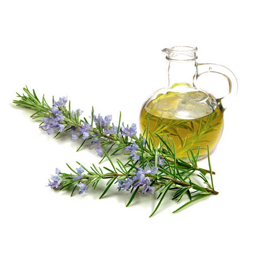 Rosemary Oil, For Medicinal
