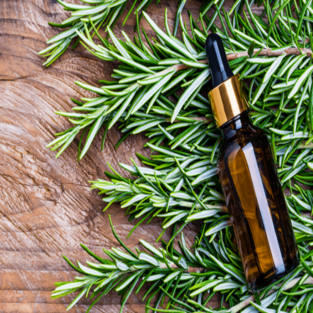 Rosemary Essential Oil