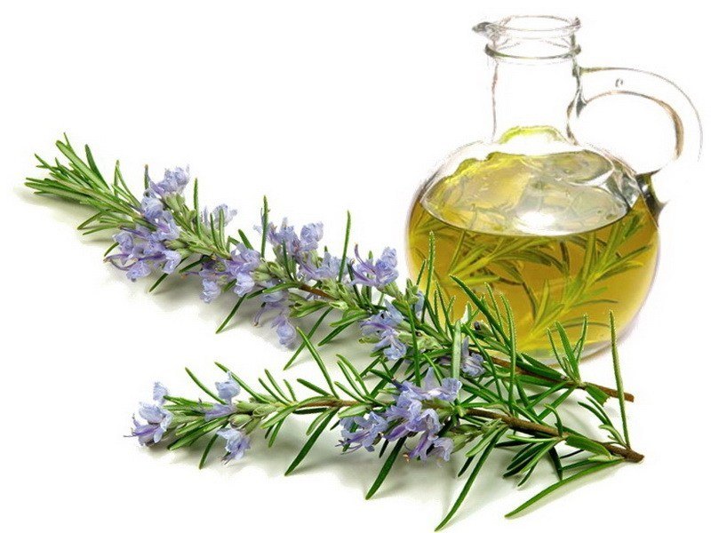 KS Essentials Rosemary Oil for Skin Care