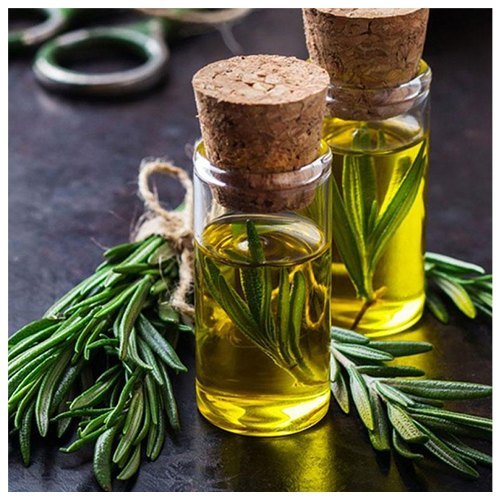 Rosemary Oil