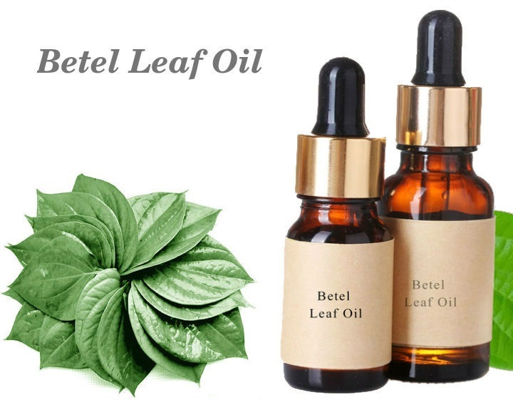 Betel Leaf Essential Oil