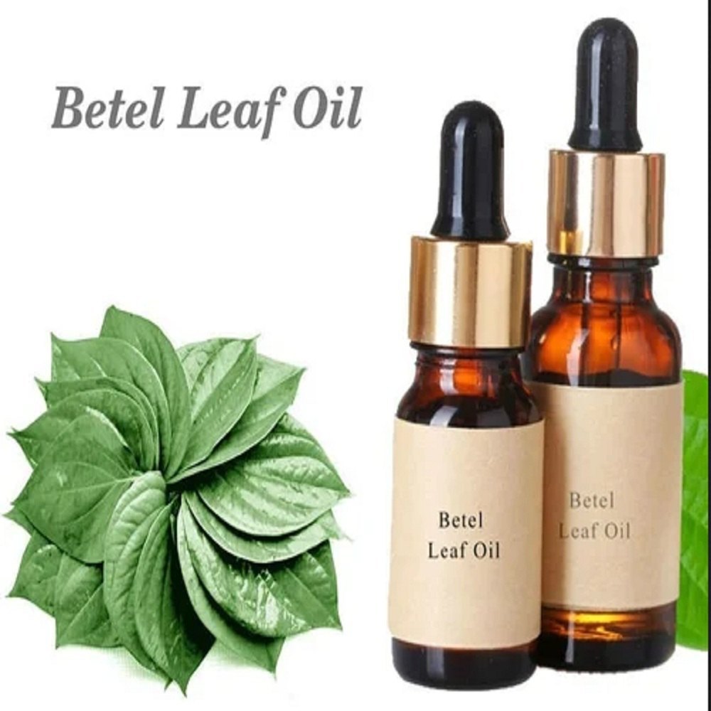 Betel Leaf Oil Natural