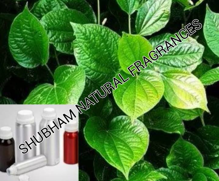 Betel Leaf Oil
