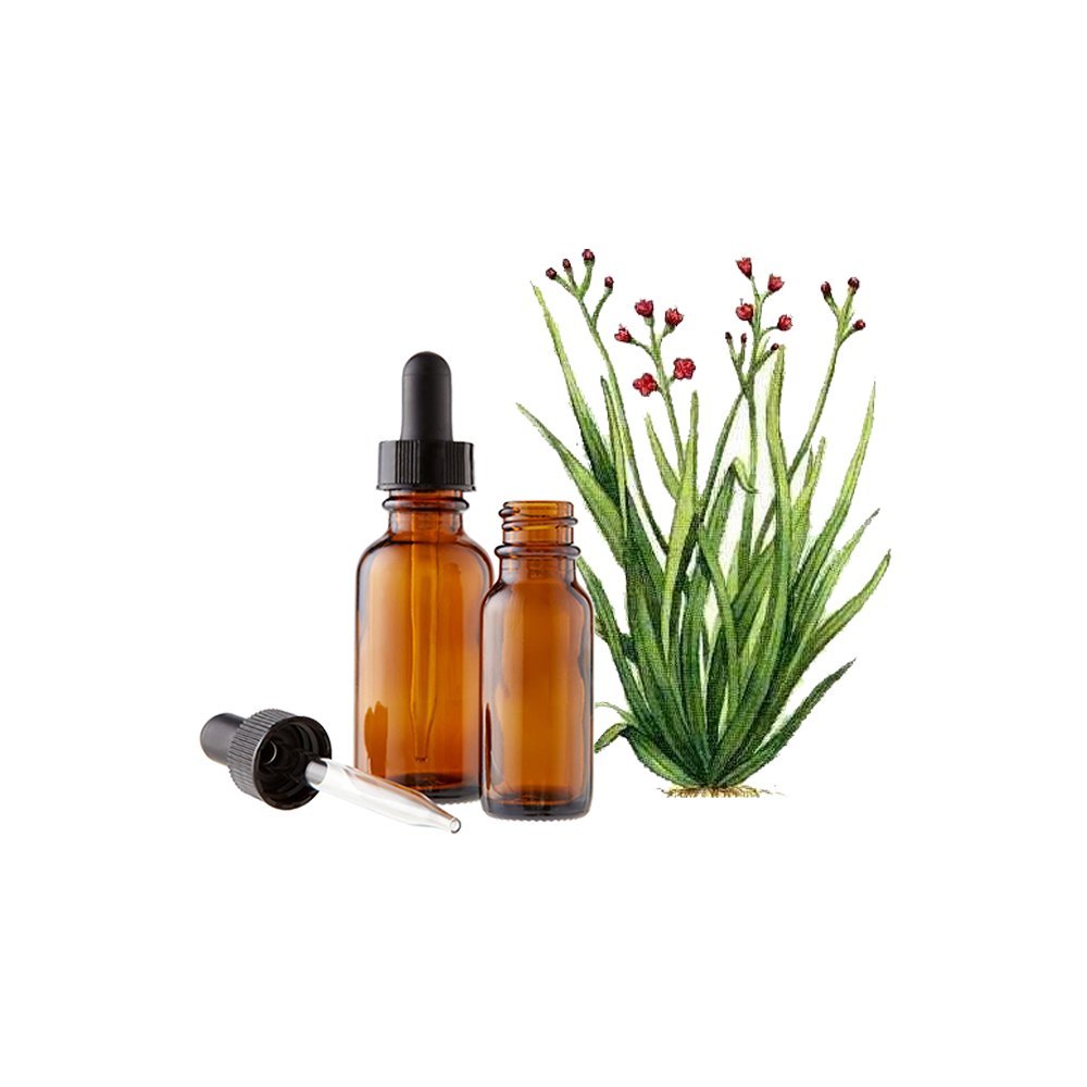 Palma Rosa Oil