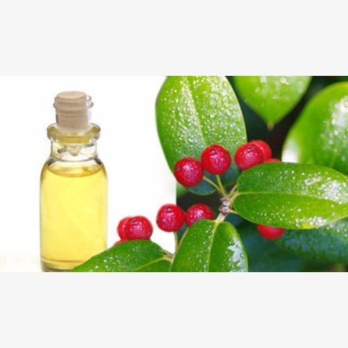 Ashwagandha Oil, 100ml/250ml/500ml/1 ltr