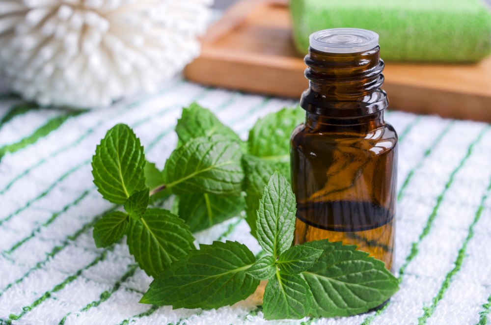 100% Sharp, pungent Spearmint Oil