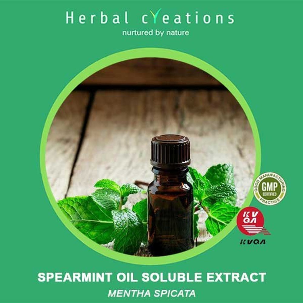Herbal Creations Spearmint Oil Soluble Extract Mentha Spicata, Packaging Type: Hdpe Can, Pack Size: 35 Kg