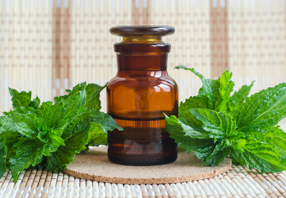 Spearmint Oil, 1 / 5 / 10 / 25 / 50 / 180 kg