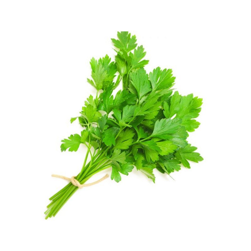 Organic Light Green Coriander Leaf Powder, Packaging Size: 20kg