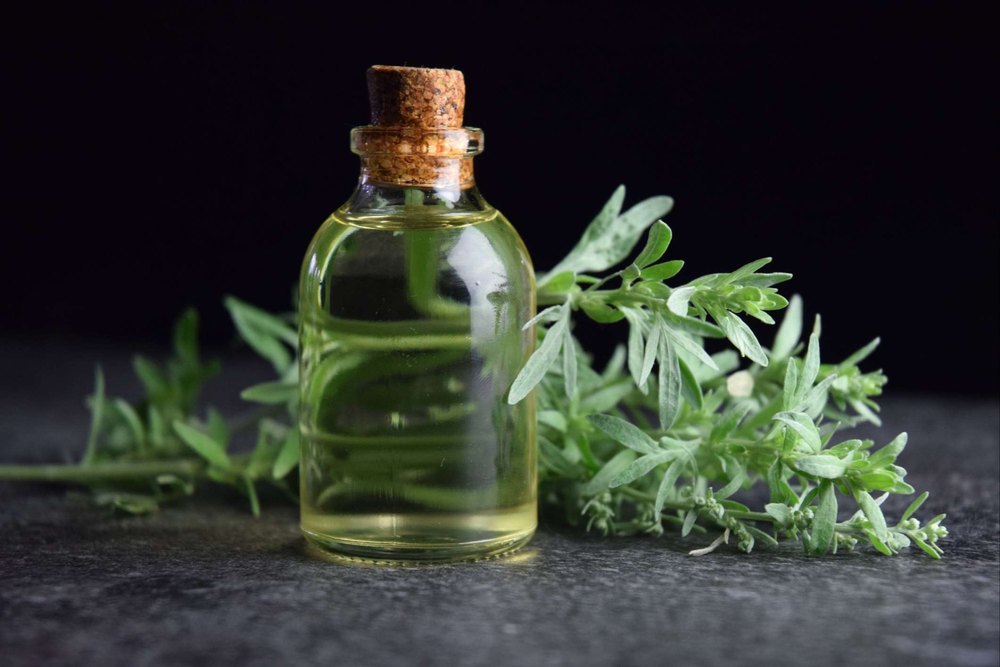 Worm Wood Oil