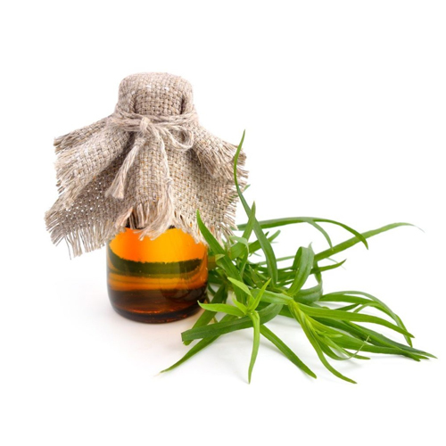 Liquid Artemisia Dracunculus Tarragon Oil for Medicinal