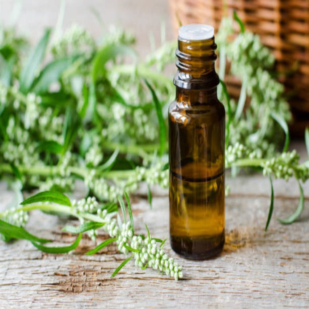 Wormwood Oil