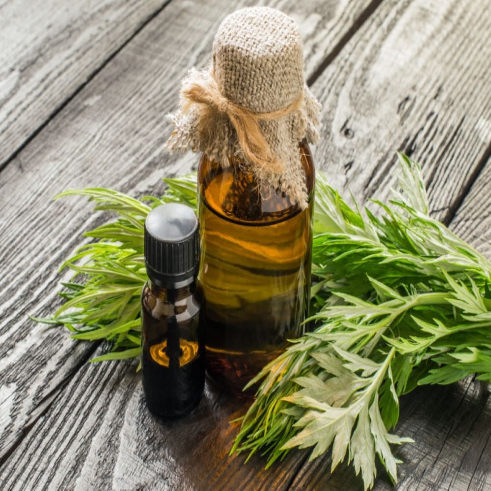 Artemisia Oil