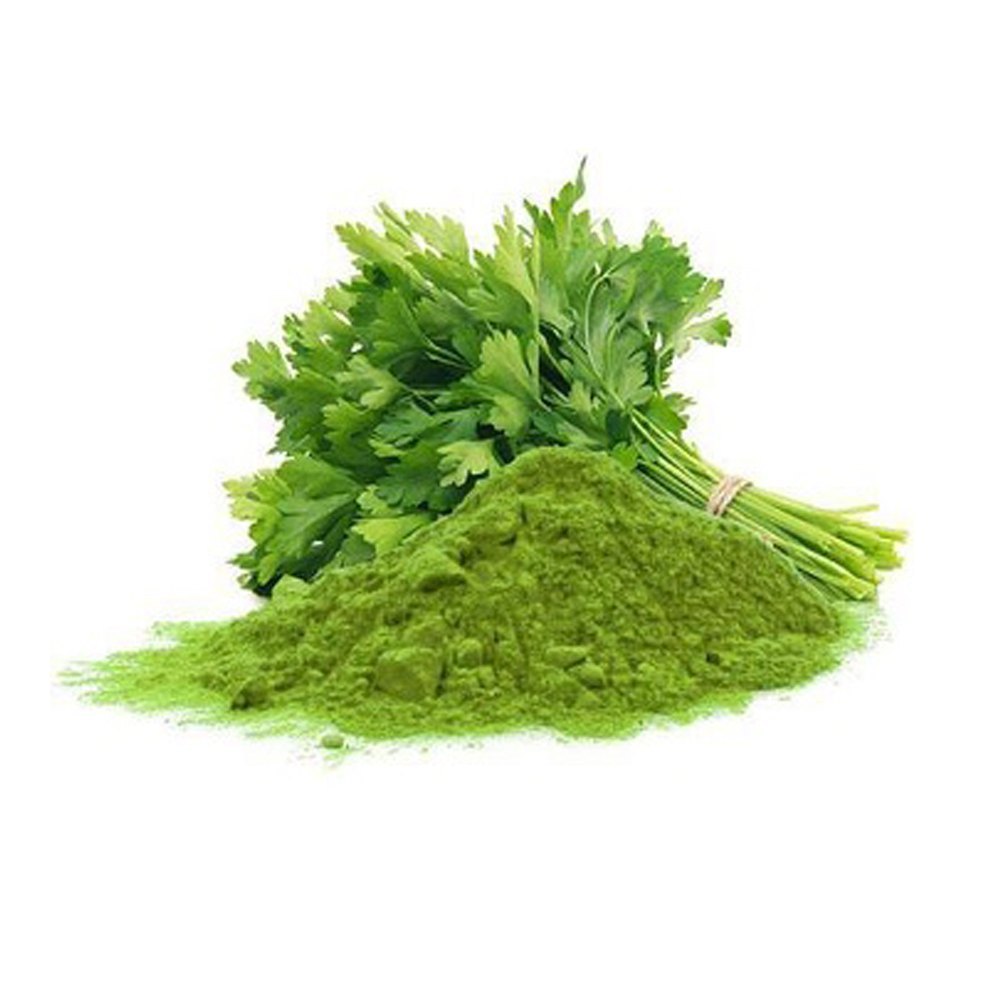 Bulk Spicy Green Coriander Leaf Powder, Packaging Size: 1 kg To 25kg, Packaging Type: Bag