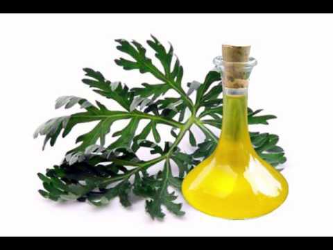 Aadinath Organic Worm Wood Oil