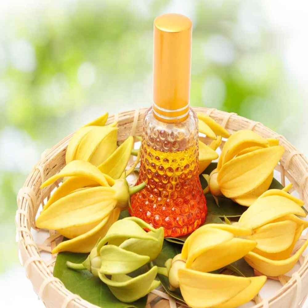 Sivaroma Ylang Ylang Essential Oil, Packaging Size: 250ml