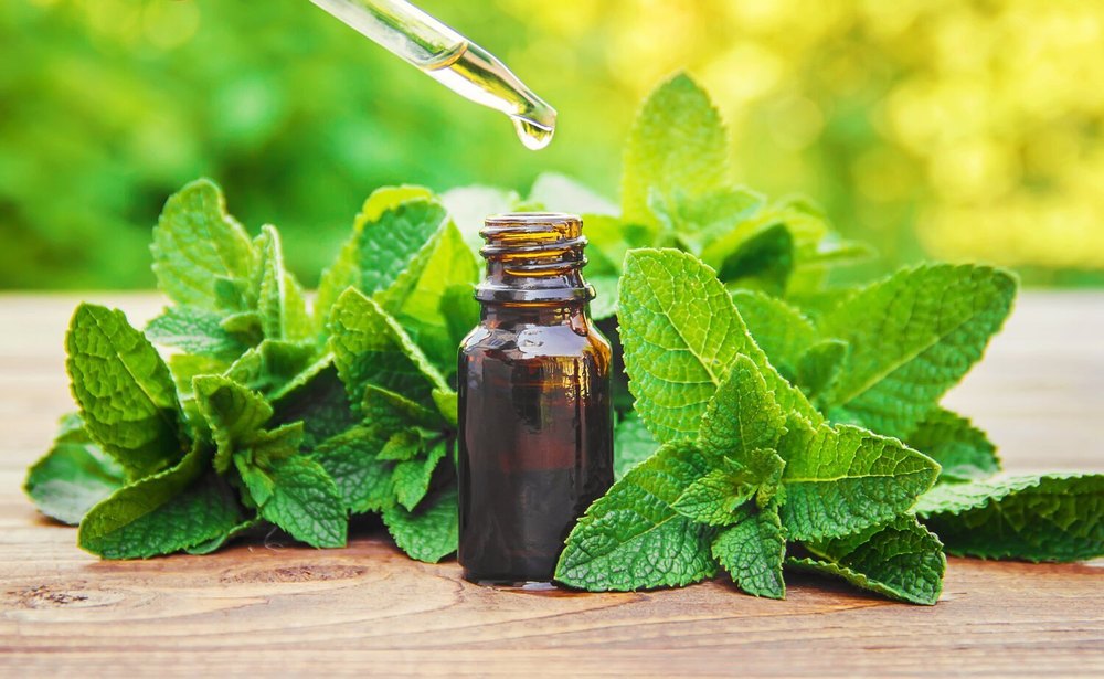 Peppermint Oil, 1 Kg