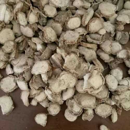 Steam Distillation Kapoor Kachri Oil, Roots