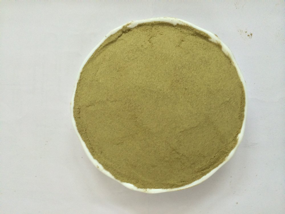 Green Dehydrated Coriander Leaves Powder, Packaging Type: HDPE BAG, Packaging Size: 20 Kg