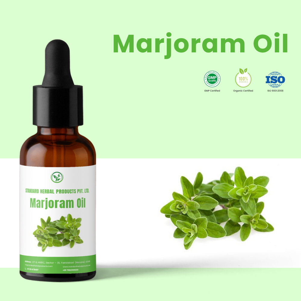 Origanum majorana Steam Distillation Marjoram Essential Oil